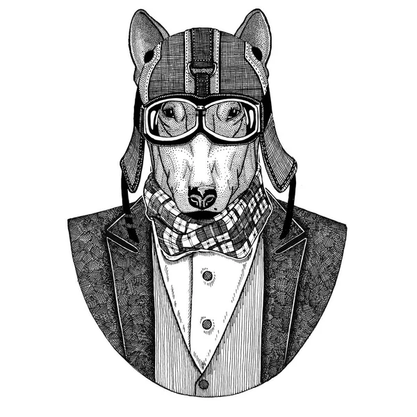 Bull terrier. Anjing. Hewan mengenakan jaket dengan dasi kupu-kupu dan helm biker atau helm penerbang. Pengendara motor, pengendara motor, penerbang. Gambar untuk tato, t-shirt, lambang, lencana, logo, patch — Stok Foto