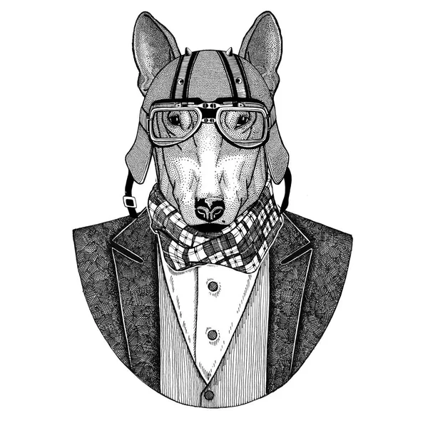 Bull terrier. Dog. Animal wearing jacket with bow-tie and biker helmet or aviatior helmet. Elegant biker, motorcycle rider, aviator. Image for tattoo, t-shirt, emblem, badge, logo, patches