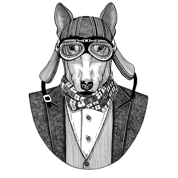 De Terriër van de stier. Hond. Dier vest met ' bow-tie en biker helm of aviatior helm dragen. Elegante biker, motorrijder, vlieger. Afbeelding voor tattoo, t-shirt, embleem, badge, embleem, patches — Stockfoto