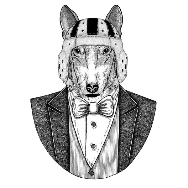 DOG para design de camiseta Casaco de uso animal com gravata borboleta e capacete de motociclista ou capacete aviador. Elegante motociclista, motociclista, aviador. Imagem para tatuagem, t-shirt, emblema, crachá, logotipo, remendos — Fotografia de Stock