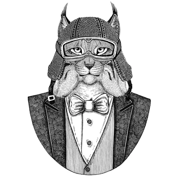 야생 고양이 살쾡이 살쾡이 트로트 동물 나비 넥타이 자전거 헬멧 또는 aviatior 헬멧 착용 재킷. 우아한 자전거, 기관 자 전차 라이더, 비행입니다. 문신, t-셔츠, 엠 블 럼, 배지, 로고, 패치 이미지 — 스톡 사진
