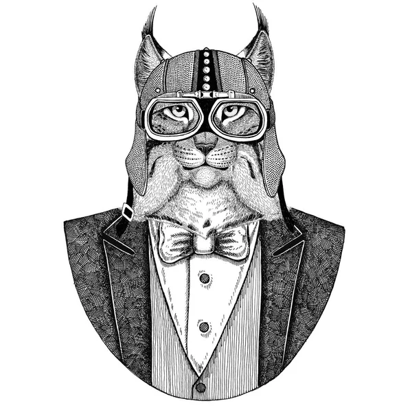 Wilde kat Lynx Bobcat draf dier dragen vest met ' bow-tie en biker helm of aviatior helm. Elegante biker, motorrijder, vlieger. Afbeelding voor tattoo, t-shirt, embleem, badge, embleem, patches — Stockfoto