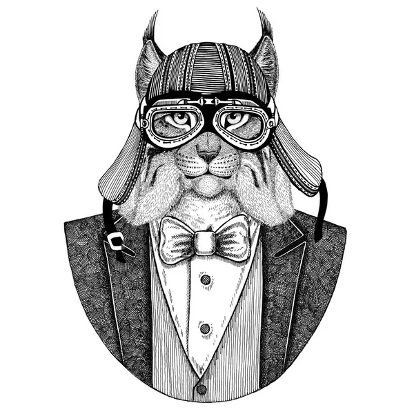 Gato selvagem Lynx Bobcat Trot Jaqueta de uso animal com gravata borboleta e capacete de motociclista ou capacete aviador. Elegante motociclista, motociclista, aviador. Imagem para tatuagem, t-shirt, emblema, crachá, logotipo, remendos — Fotografia de Stock