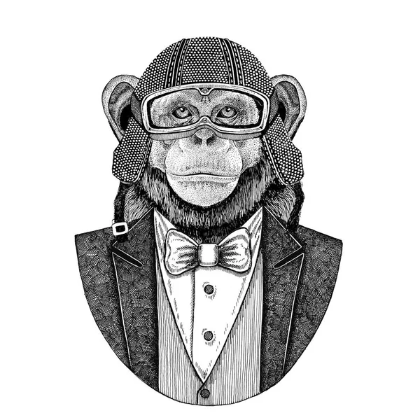 침팬지 원숭이 동물 나비 넥타이 자전거 헬멧 aviatior 헬멧와 자 켓을 입고. 우아한 자전거, 기관 자 전차 라이더, 비행입니다. 문신, t-셔츠, 엠 블 럼, 배지, 로고, 패치 이미지 — 스톡 사진