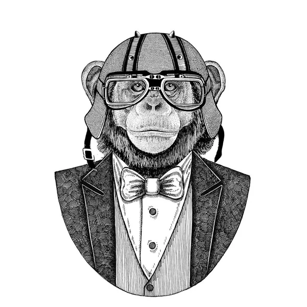 Chimpanzee Monkey Animal wearing jacket with bow-tie and biker helmet or aviatior helmet. Elegant biker, motorcycle rider, aviator. Image for tattoo, t-shirt, emblem, badge, logo, patch — Stock Photo, Image