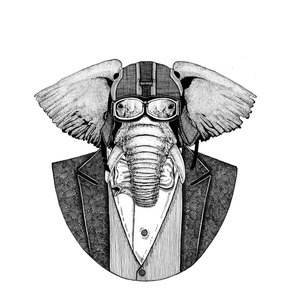 Elefante africano ou indiano jaqueta de uso animal com gravata borboleta e capacete motociclista ou capacete aviador. Elegante motociclista, motociclista, aviador. Imagem para tatuagem, t-shirt, emblema, emblema, logotipo, remendo — Fotografia de Stock