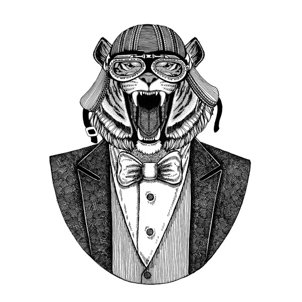 Tigre salvaje Animal con chaqueta con pajarita y casco de motociclista o casco de aviador. Motociclista elegante, motociclista, aviador. Imagen para tatuaje, camiseta, emblema, insignia, logotipo, parches — Foto de Stock