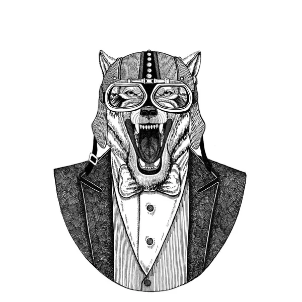 Lobo, perro salvaje Animal vistiendo chaqueta con pajarita y casco de motociclista o casco de aviador. Motociclista elegante, motociclista, aviador. Imagen para tatuaje, camiseta, emblema, placa, logotipo, parche —  Fotos de Stock