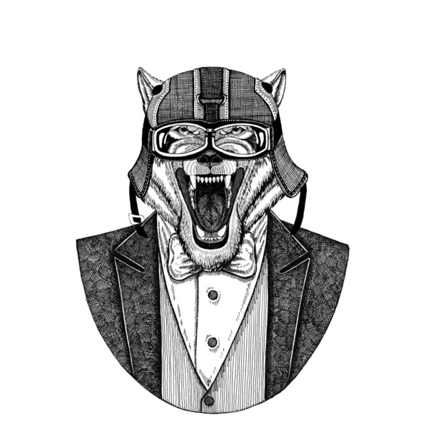 Wolf, wilde hond dierlijke dragen vest met ' bow-tie en biker helm of aviatior helm. Elegante biker, motorrijder, vlieger. Afbeelding voor tattoo, t-shirt, embleem, badge, logo, patch — Stockfoto