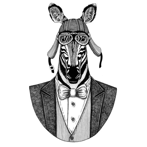 Zebra Cavalo Animal jaqueta vestindo com gravata borboleta e motociclista capacete ou aviador capacete. Elegante motociclista, motociclista, aviador. Imagem para tatuagem, t-shirt, emblema, emblema, logotipo, remendo — Fotografia de Stock