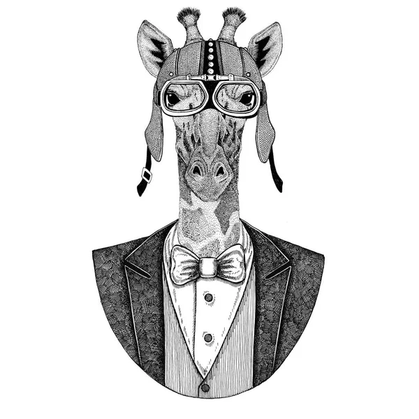 Camélope, girafe Veste d'animal avec nœud papillon et casque de motard ou casque aviatior. Élégant motard, motard, aviateur. Image pour tatouage, t-shirt, emblème, insigne, logo, patch — Photo