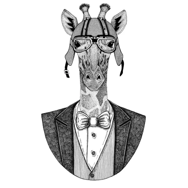 Camélope, girafe Veste d'animal avec nœud papillon et casque de motard ou casque aviatior. Élégant motard, motard, aviateur. Image pour tatouage, t-shirt, emblème, insigne, logo, patch — Photo