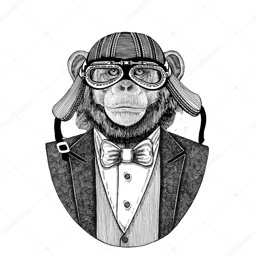 Chimpanzee Monkey Animal wearing jacket with bow-tie and biker helmet or aviatior helmet. Elegant biker, motorcycle rider, aviator. Image for tattoo, t-shirt, emblem, badge, logo, patch