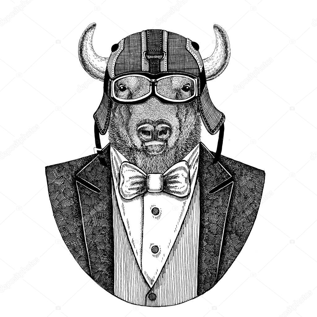 Buffalo, bison,ox, bull Animal wearing jacket with bow-tie and biker helmet or aviatior helmet. Elegant biker, motorcycle rider, aviator. Image for tattoo, t-shirt, emblem, badge, logo, patches