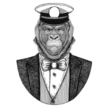 Goril, maymun, maymun hayvan giyen ceket papyon ve capitans ile doruğa kap zarif denizci, Deniz Kuvvetleri, capitan, korsan. Dövme, t-shirt, amblem, rozet, logo, yamalar için görüntü