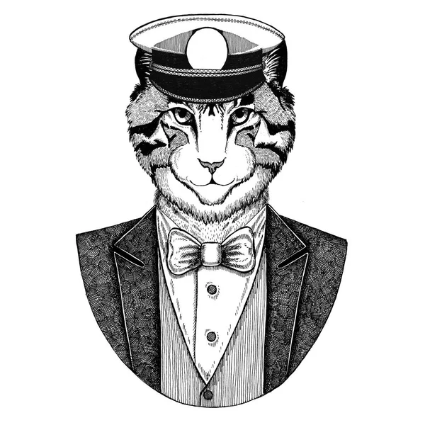 Foto van binnenlandse kat dierlijke dragen vest met ' bow-tie en capitans bereikte een hoogtepunt van GLB elegante matroos navy, capitan, piraat. Afbeelding voor tattoo, t-shirt, embleem, badge, embleem, patches — Stockfoto