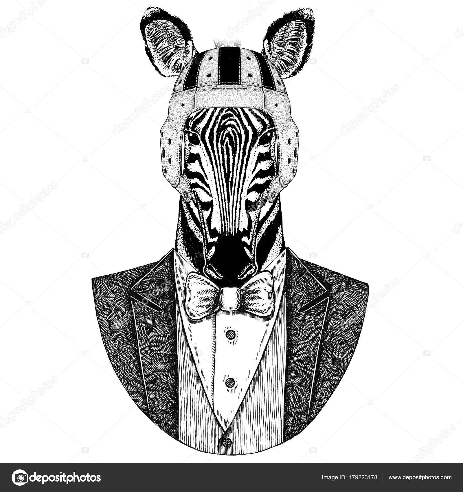 Zebra Horse Elegant rugby player. Old school vintage rugby helmet. American football. Vintage