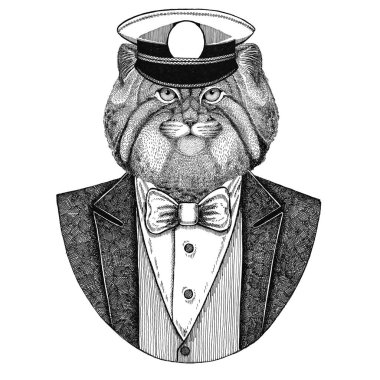 Vahşi kedi Manul hayvan giyen ceket papyon ve capitans ile doruğa kap zarif denizci, Deniz Kuvvetleri, capitan, korsan. Dövme, t-shirt, amblem, rozet, logo, yamalar için görüntü