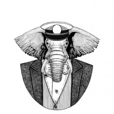 Afrika ya da Hindistan fil üzerinde ceket papyon ve capitans ile hayvan kap zarif denizci, Deniz Kuvvetleri, capitan, korsan kadar yükseldi. Dövme, t-shirt, amblem, rozet, logo, yamalar için görüntü