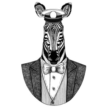 Zebra at hayvan giyen ceket papyon ve capitans ile doruğa kap zarif denizci, Deniz Kuvvetleri, capitan, korsan. Dövme, t-shirt, amblem, rozet, logo, yamalar için görüntü