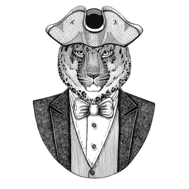 Vahşi kedi leopar kedi-o-dağ Panter'in hayvan giyen tanınmaz, tricorn el çizilmiş resim dövme, t-shirt, amblem, rozet, logosu için yamalar