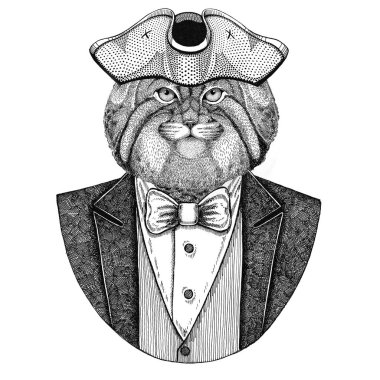 Vahşi kedi Manul cocked şapka, tricorn el çizilmiş resim dövme, t-shirt, amblem, rozet, logo, hayvan yamalar