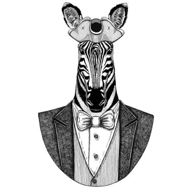 Zebra at hayvan, tanınmaz giyen tricorn el dövme, t-shirt, amblem, rozet, logo, yamalar için resmi çizilmiş.