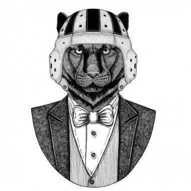 Panter, Puma, puma, vahşi kedi zarif rugby oyuncusu. Eski okul vintage rugby kask. Amerikan futbolu. Vintage tarzı illüstrasyon dövme, amblem, rozet, logo, yama, t-shirt için