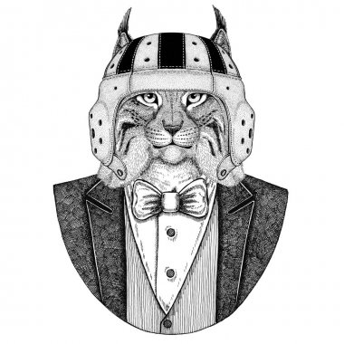 Vaşak, Bobcat, tırıs, vahşi kedi zarif rugby oyuncusu. Eski okul vintage rugby kask. Amerikan futbolu. Vintage tarzı illüstrasyon dövme, amblem, rozet, logo, yama, t-shirt için