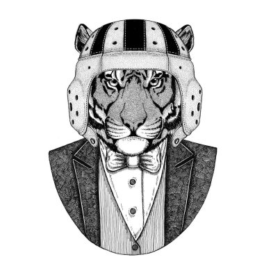 Vahşi Kaplan zarif rugby oyuncusu. Eski okul vintage rugby kask. Amerikan futbolu. Vintage tarzı illüstrasyon dövme, amblem, rozet, logo, yama, t-shirt için