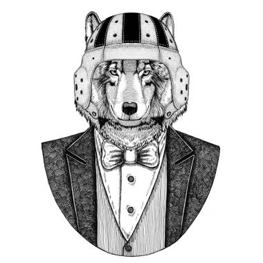 Kurt, köpek zarif rugby oyuncusu. Eski okul vintage rugby kask. Amerikan futbolu. Vintage tarzı illüstrasyon dövme, amblem, rozet, logo, yama, t-shirt için