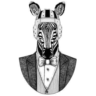 Zebra at zarif rugby oyuncusu. Eski okul vintage rugby kask. Amerikan futbolu. Vintage tarzı illüstrasyon dövme, amblem, rozet, logo, yama, t-shirt için