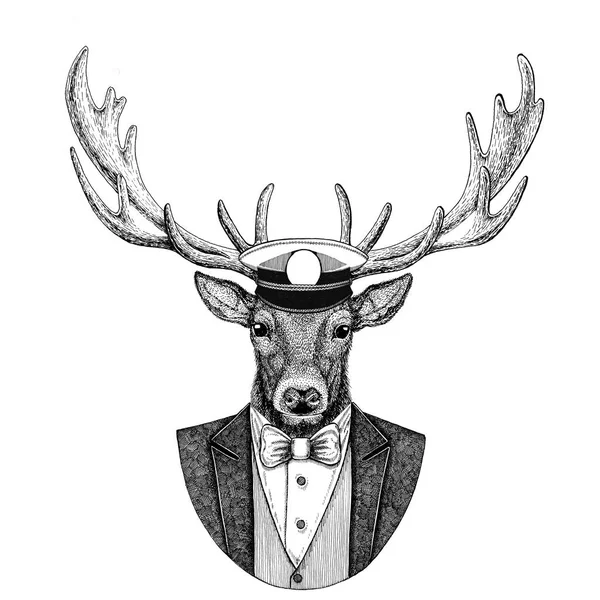 Deer Animal wearing jacket with bow-tie and capitans peaked cap Elegant sailor, navy, capitan, pirate. Image for tattoo, t-shirt, emblem, badge, logo, patches — Stock Photo, Image