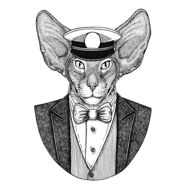 Gato oriental con orejas grandes Animal vistiendo chaqueta con pajarita y capitanes gorra pico Elegante marinero, marino, capitán, pirata. Imagen para tatuaje, camiseta, emblema, insignia, logotipo, parches —  Fotos de Stock