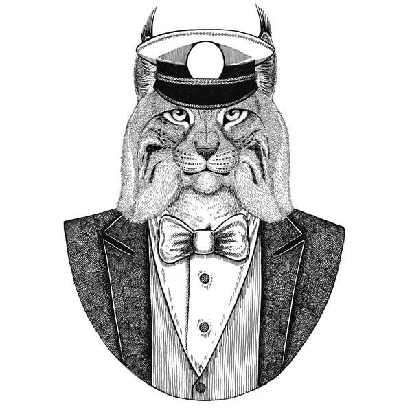 野生猫 Lynx ボブキャット トロット動物 capitans ボウタイ付きジャケットを着てピーク キャップをエレガントなセーラー、海軍、キャピタン、海賊。タトゥー、t シャツ、エンブレム、バッジ、ロゴ、パッチの画像 — ストック写真
