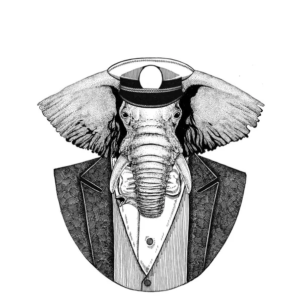 Africano ou indiano elefante animal vestindo jaqueta com gravata borboleta e capitães pico cap Elegante marinheiro, marinha, capitã, pirata. Imagem para tatuagem, t-shirt, emblema, crachá, logotipo, remendos — Fotografia de Stock