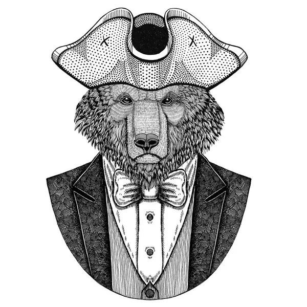 Urso marrom, urso russo Animal vestindo chapéu cocked, tricorn Imagem desenhada à mão para tatuagem, t-shirt, emblema, crachá, logotipo, patch — Fotografia de Stock