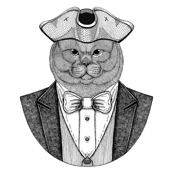 Registreerden nobele kat mannelijke dier dragen cocked hoed, Silverwing Hand getekende afbeelding voor tattoo, t-shirt, embleem, badge, embleem, patches — Stockfoto