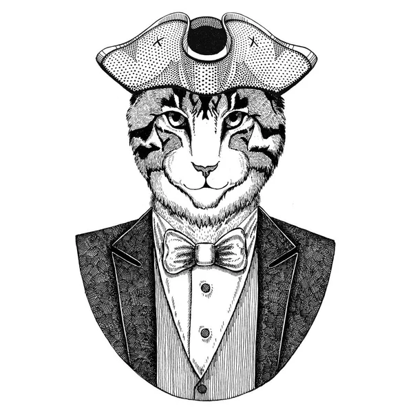 Εικόνα από εγχώριο γάτα ζώων φορώντας cocked καπέλο, τρίκοχο χέρι συρμένο εικόνα για τατουάζ, t-shirt, έμβλημα, σήμα, λογότυπο, μπαλώματα — Φωτογραφία Αρχείου