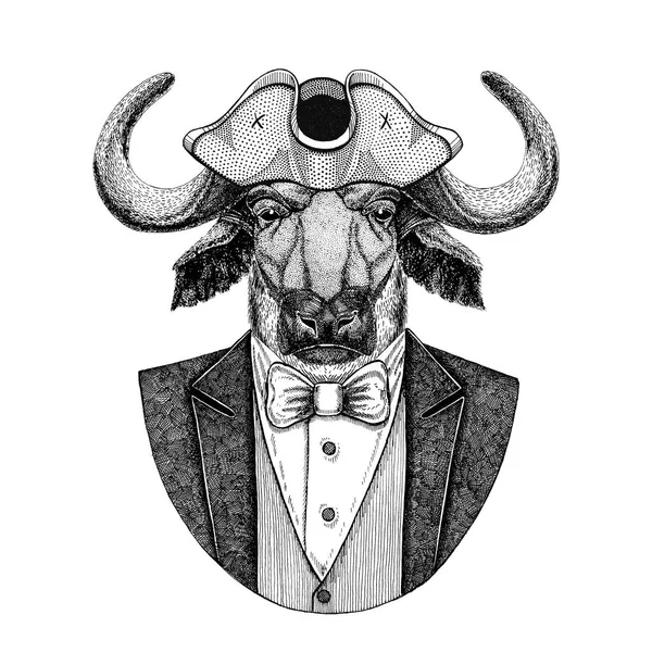 Buffalo, bull, ox djur bär trekantig hatt, tricorn handen ritade bilden för tatuering, t-shirt, emblem, badge, logotyp, patchar — Stockfoto