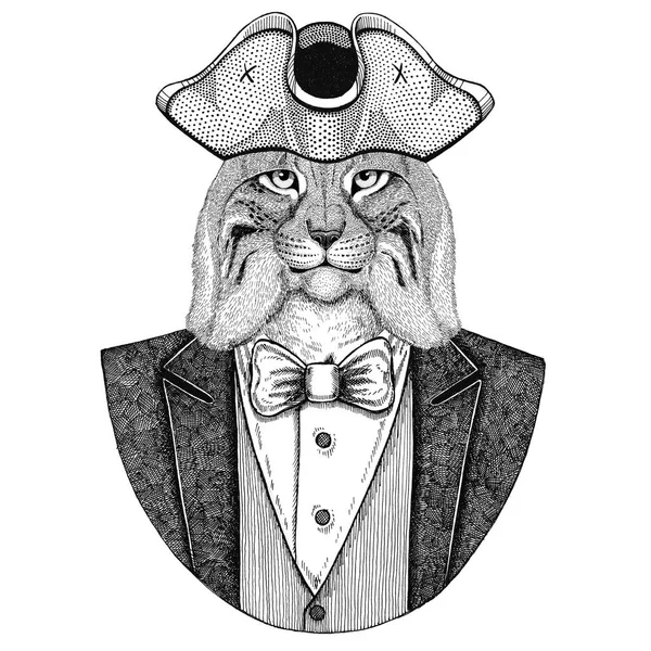 Gato salvaje, Lynx, Bobcat, Trot Animal con sombrero de gallo, tricornio Imagen dibujada a mano para tatuaje, camiseta, emblema, insignia, logotipo, parches —  Fotos de Stock