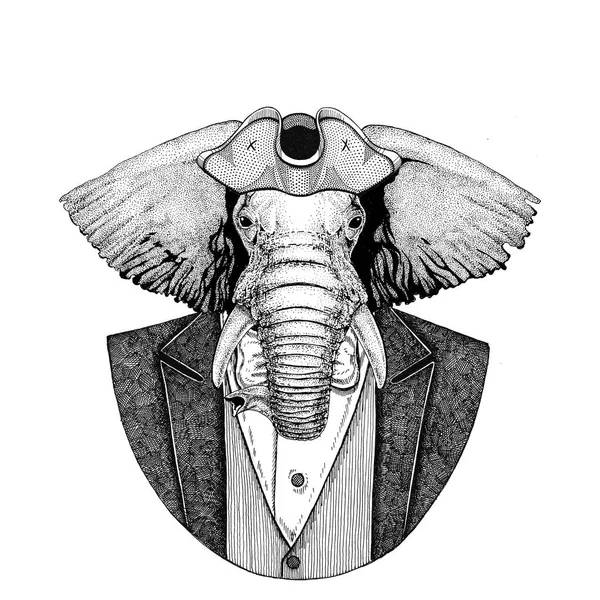 Africano ou indiano elefante animal vestindo chapéu cocked, tricorn Imagem desenhada à mão para tatuagem, t-shirt, emblema, emblema, logotipo, patches — Fotografia de Stock