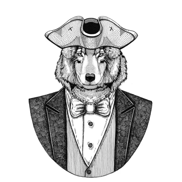 Wolf, hond dier dragen cocked hat, Silverwing Hand getekende afbeelding voor tattoo, t-shirt, embleem, badge, embleem, patches — Stockfoto