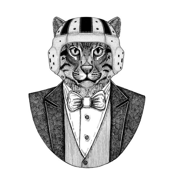 Άγρια γάτα αλιεία γάτα κομψή ράγκμπι παίκτης. Παλιό σχολείο ράγκμπι εκλεκτής ποιότητας κράνος. Αμερικάνικο ποδόσφαιρο. Στυλ vintage εικονογράφηση για τατουάζ, έμβλημα, σήμα, λογότυπο, patch, t-shirt — Φωτογραφία Αρχείου