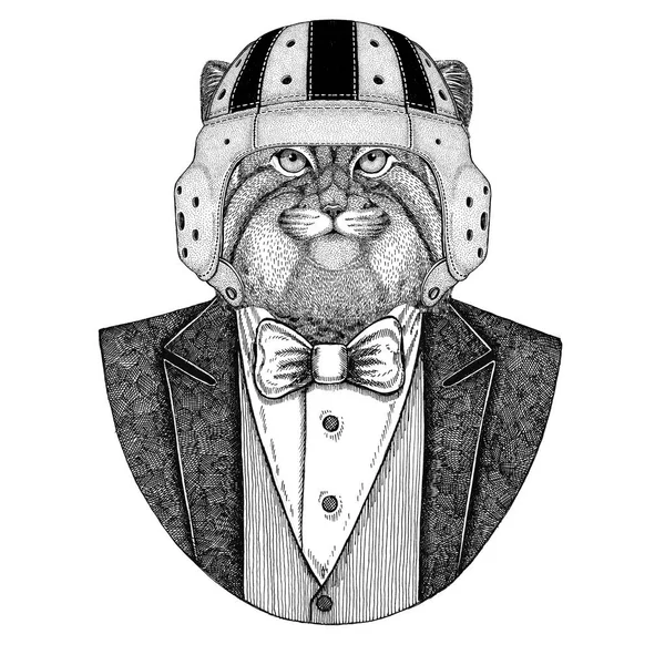 Άγρια γάτα Manul Elegant παίκτη ράγκμπι. Παλιό σχολείο ράγκμπι εκλεκτής ποιότητας κράνος. Αμερικάνικο ποδόσφαιρο. Στυλ vintage εικονογράφηση για τατουάζ, έμβλημα, σήμα, λογότυπο, patch, t-shirt — Φωτογραφία Αρχείου