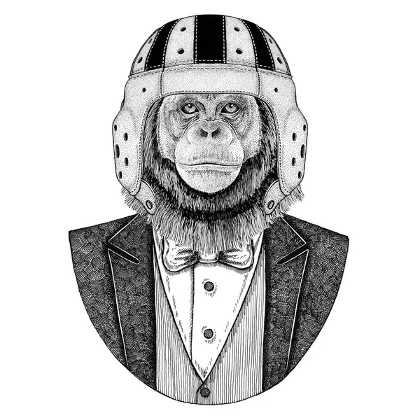 Chimpanzé, Macaco Elegante jogador de rugby. Capacete de rugby vintage da velha escola. Futebol americano. Ilustração de estilo vintage para tatuagem, emblema, crachá, logotipo, remendo, t-shirt — Fotografia de Stock