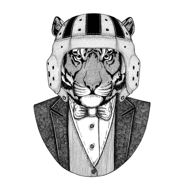Vahşi Kaplan zarif rugby oyuncusu. Eski okul vintage rugby kask. Amerikan futbolu. Vintage tarzı illüstrasyon dövme, amblem, rozet, logo, yama, t-shirt için