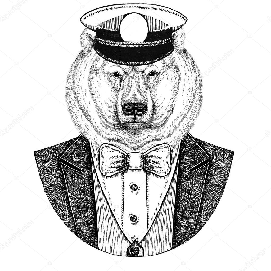 Animal wearing jacket with bow-tie and capitans peaked cap Elegant sailor, navy, capitan, pirate. Image for tattoo, t-shirt, emblem, badge, logo, patches