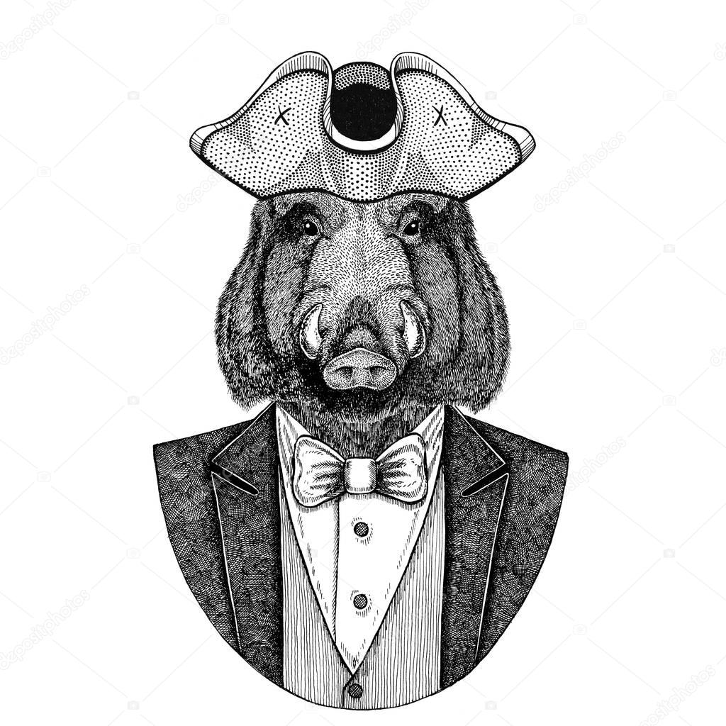 Aper, boar, hog, wild boaraper, boar, hog, wild boar Animal wearing cocked hat, tricorn Hand drawn image for tattoo, t-shirt, emblem, badge logo patch