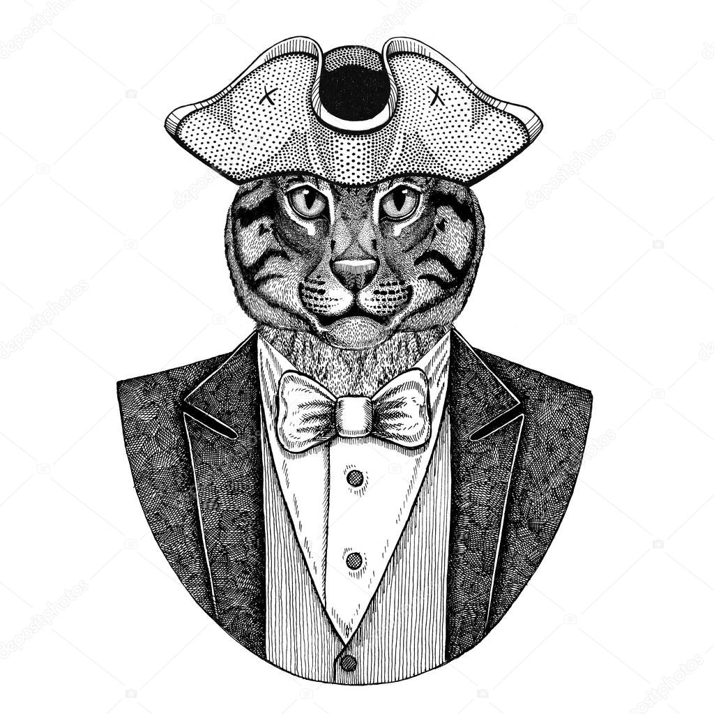 Wild cat Fishing cat Animal wearing cocked hat, tricorn Hand drawn image for tattoo, t-shirt, emblem, badge, logo, patch